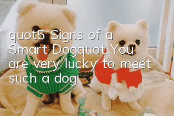 "5 Signs of a Smart Dog" You are very lucky to meet such a dog!