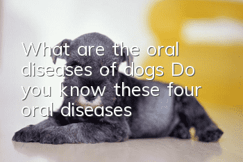 What are the oral diseases of dogs? Do you know these four oral diseases?