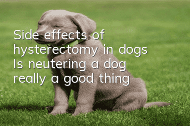 Side effects of hysterectomy in dogs Is neutering a dog really a good thing?