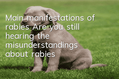 Main manifestations of rabies Are you still hearing the misunderstandings about rabies?