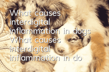 What causes interdigital inflammation in dogs? What causes interdigital inflammation in dogs?