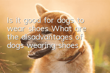 Is it good for dogs to wear shoes? What are the disadvantages of dogs wearing shoes?