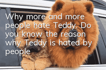 Why more and more people hate Teddy. Do you know the reason why Teddy is hated by people?