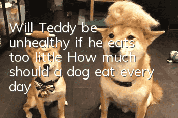 Will Teddy be unhealthy if he eats too little? How much should a dog eat every day?