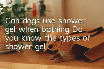 Can dogs use shower gel when bathing? Do you know the types of shower gel?