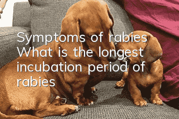Symptoms of rabies What is the longest incubation period of rabies