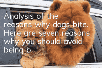 Analysis of the reasons why dogs bite. Here are seven reasons why you should avoid being bitten by dogs.