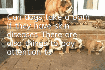 Can dogs take a bath if they have skin diseases? There are also things to pay attention to when bathing dogs.