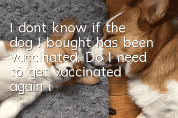I don’t know if the dog I bought has been vaccinated. Do I need to get vaccinated again if it has been vaccinated?