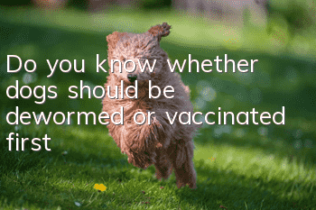 Do you know whether dogs should be dewormed or vaccinated first?