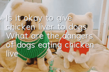 Is it okay to give chicken liver to dogs? What are the dangers of dogs eating chicken liver?