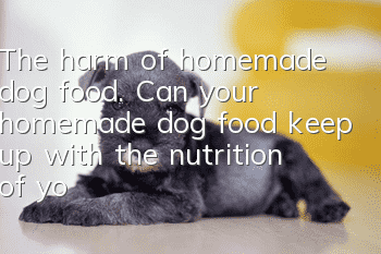 The harm of homemade dog food. Can your homemade dog food keep up with the nutrition of your dog?