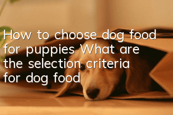 How to choose dog food for puppies? What are the selection criteria for dog food?