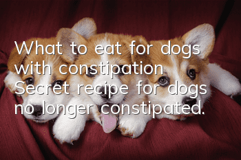 What to eat for dogs with constipation? Secret recipe for dogs no longer constipated.
