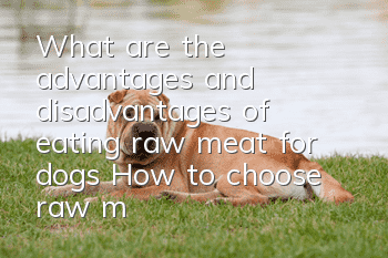What are the advantages and disadvantages of eating raw meat for dogs? How to choose raw meat for dogs