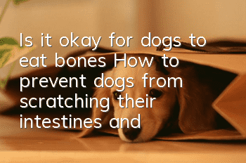 Is it okay for dogs to eat bones? How to prevent dogs from scratching their intestines and stomach when eating bones?