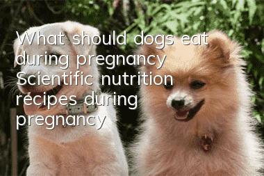 What should dogs eat during pregnancy? Scientific nutrition recipes during pregnancy