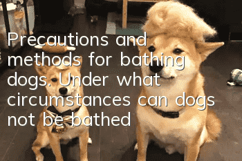 Precautions and methods for bathing dogs. Under what circumstances can dogs not be bathed?