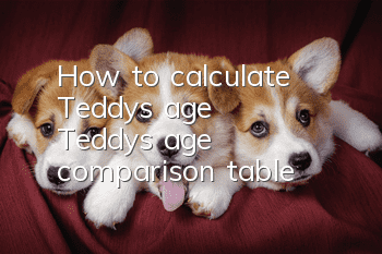How to calculate Teddy’s age? Teddy’s age comparison table