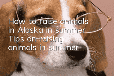 How to raise animals in Alaska in summer? Tips on raising animals in summer