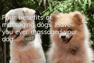 Four benefits of massaging dogs. Have you ever massaged your dog?