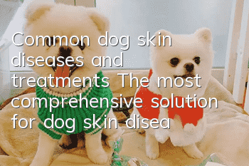 Common dog skin diseases and treatments The most comprehensive solution for dog skin diseases