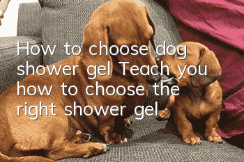 How to choose dog shower gel Teach you how to choose the right shower gel