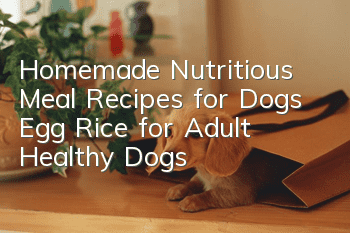 Homemade Nutritious Meal Recipes for Dogs Egg Rice for Adult Healthy Dogs