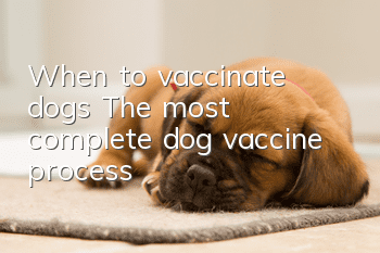 When to vaccinate dogs? The most complete dog vaccine process