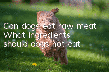Can dogs eat raw meat? What ingredients should dogs not eat?