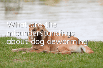 What are the misunderstandings about dog deworming?