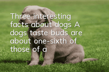 Three interesting facts about dogs: A dog’s taste buds are about one-sixth of those of a human