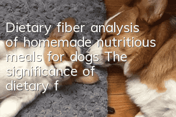 Dietary fiber analysis of homemade nutritious meals for dogs The significance of dietary fiber to dogs