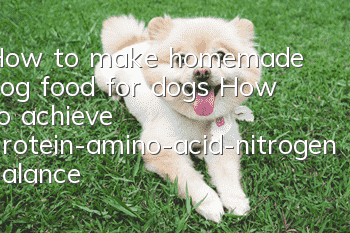 How to make homemade dog food for dogs How to achieve protein-amino-acid-nitrogen balance