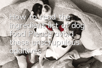 How to read the ingredient list of dog food? Please avoid these unscrupulous additives