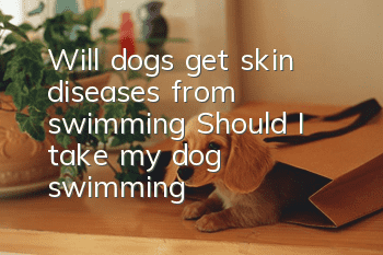 Will dogs get skin diseases from swimming? Should I take my dog swimming?