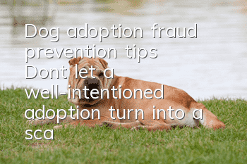 Dog adoption fraud prevention tips: Don’t let a well-intentioned adoption turn into a scam