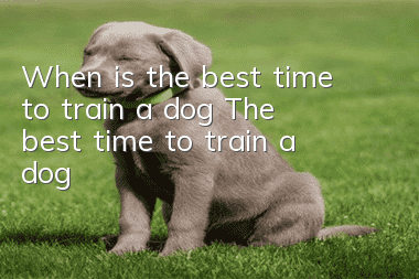 When is the best time to train a dog? The best time to train a dog