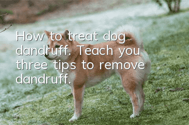 How to treat dog dandruff. Teach you three tips to remove dandruff.