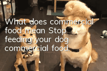 What does commercial food mean? Stop feeding your dog commercial food.