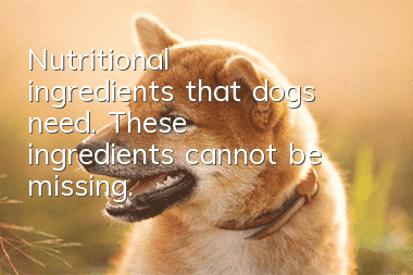 Nutritional ingredients that dogs need. These ingredients cannot be missing.