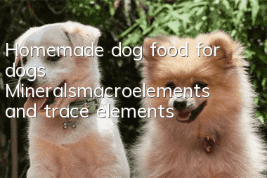 Homemade dog food for dogs Minerals—macroelements and trace elements