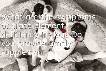 What are the symptoms of trace element deficiency in dogs? Do you provide timely supplements to your dog?