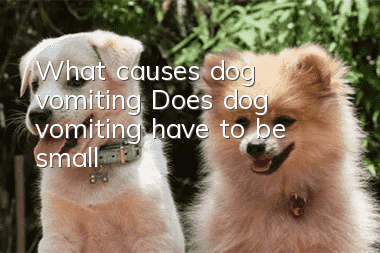 What causes dog vomiting? Does dog vomiting have to be small?