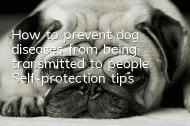 How to prevent dog diseases from being transmitted to people Self-protection tips