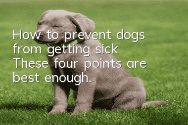 How to prevent dogs from getting sick? These four points are best enough.
