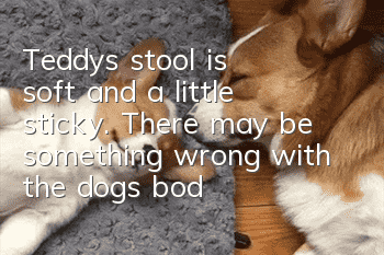 Teddy's stool is soft and a little sticky. There may be something wrong with the dog's body.