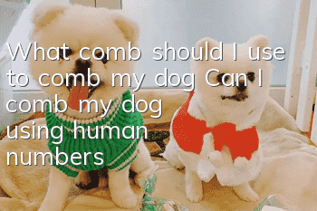 What comb should I use to comb my dog? Can I comb my dog using human numbers?