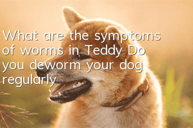What are the symptoms of worms in Teddy? Do you deworm your dog regularly?