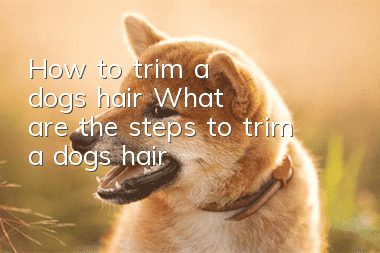 How to trim a dog's hair What are the steps to trim a dog's hair